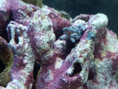 20201207_193555.jpg