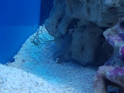 20201207_203909.jpg