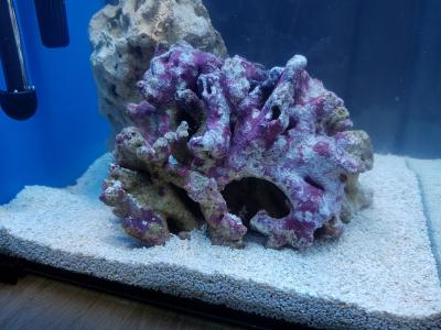 20201207_200845.jpg