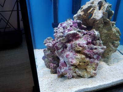 20201207_193603.jpg