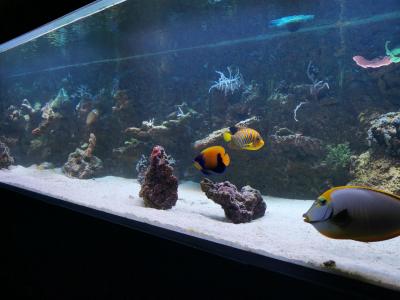IMG_20201228_195732.jpg
