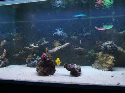 IMG_20201228_195651.jpg