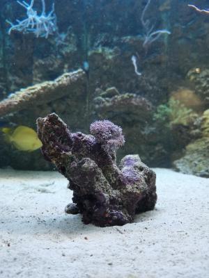 IMG_20201229_090304.jpg