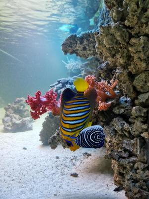 IMG_20201227_234907.jpg