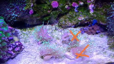 IMG_20201212_095308.jpg