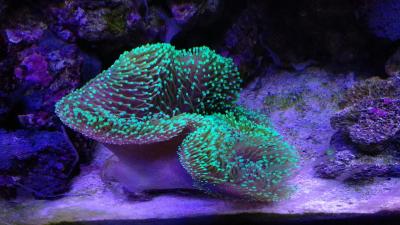 IMG_20201208_122602.jpg