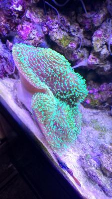 IMG_20201208_120402.jpg