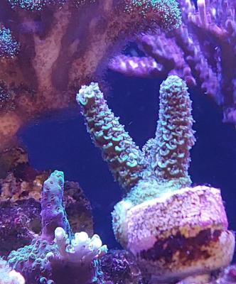 20221204_115513.jpg