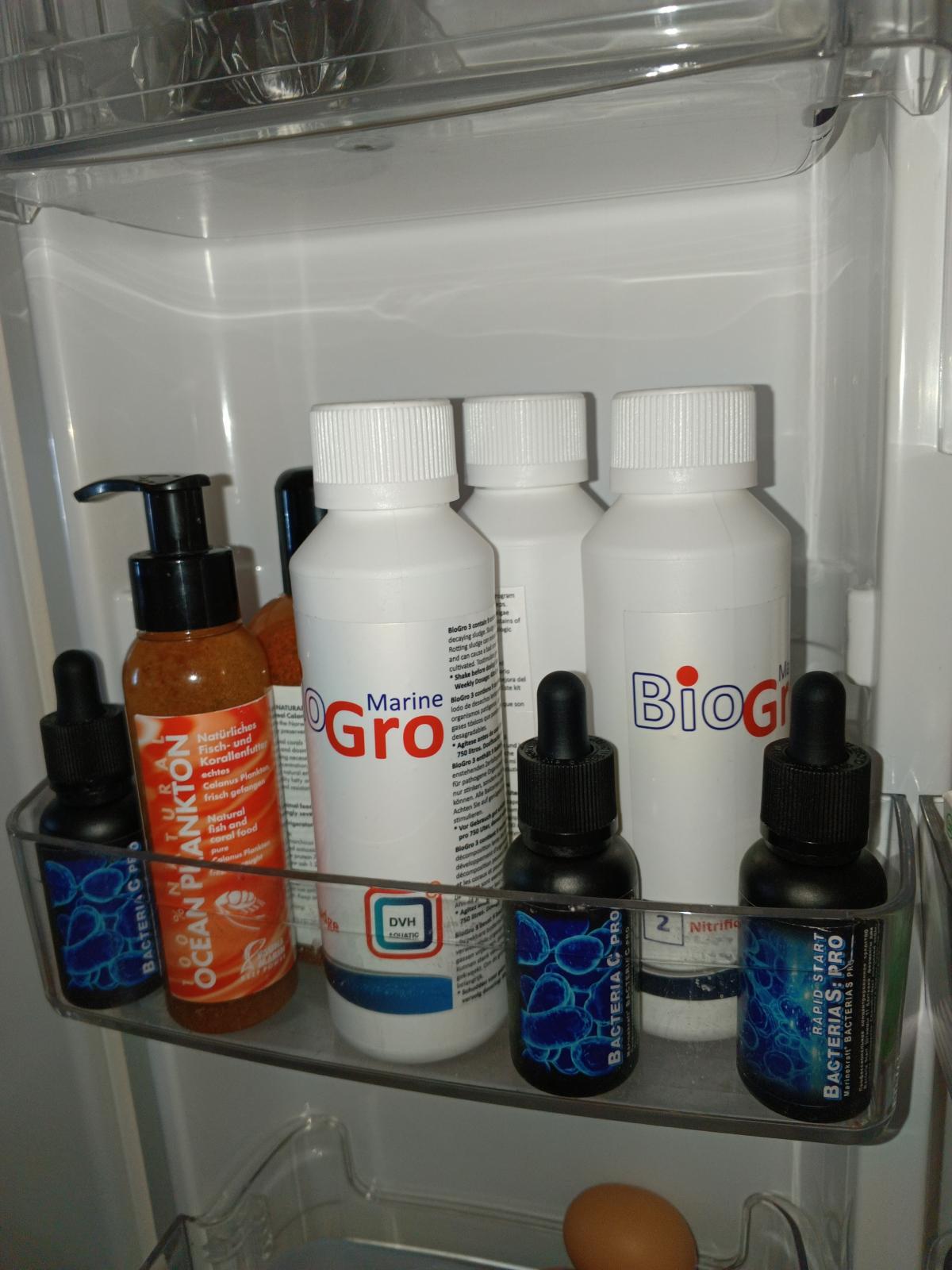 Бактерии - БАРАХОЛКА - Морской аквариум. Форумы ReefCentral.ru