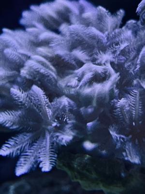 Image1734027816.564708.jpg