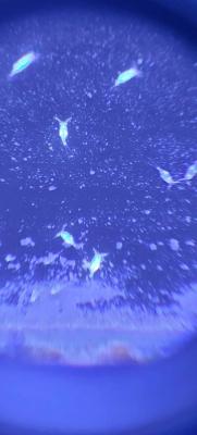 20241212_194032.jpeg