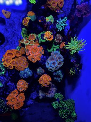 IMG_9209.jpeg