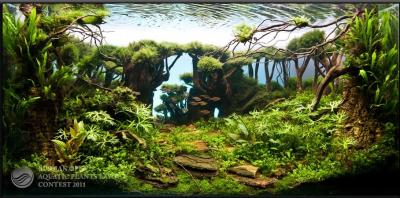 Заглавная иллюстрация.jpg