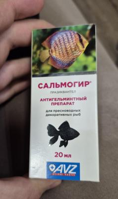 20251203_134130.jpg