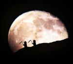 Фотография Baralgin