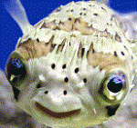 Фотография Anry