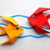 Чем кормить звезду Астеродискус - последнее сообщение от origami