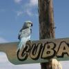 Рижий налёт на грунте - последнее сообщение от Cuba