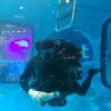 рифовый аквариум Juwel 190 - последнее сообщение от konti