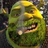 Опознание улитки - последнее сообщение от Shrek